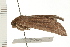  ( - 08-TASE-0174)  @12 [ ] CreativeCommons - Attribution (2009) Unspecified Centre for Biodiversity Genomics