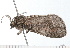  ( - 08-TASE-0273)  @12 [ ] CreativeCommons - Attribution (2009) Unspecified Centre for Biodiversity Genomics