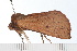 ( - 08-TASE-0278)  @12 [ ] CreativeCommons - Attribution (2009) Unspecified Centre for Biodiversity Genomics