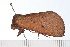  ( - 08-TASE-0279)  @12 [ ] CreativeCommons - Attribution (2009) Unspecified Centre for Biodiversity Genomics