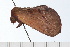  ( - 08-TASE-0281)  @12 [ ] CreativeCommons - Attribution (2009) Unspecified Centre for Biodiversity Genomics