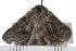 ( - 08-TASE-0408)  @13 [ ] CreativeCommons - Attribution (2009) Unspecified Centre for Biodiversity Genomics