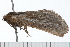  ( - 08-TASE-0416)  @13 [ ] CreativeCommons - Attribution (2009) Unspecified Centre for Biodiversity Genomics