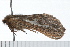  ( - 08-TASE-0418)  @13 [ ] CreativeCommons - Attribution (2009) Unspecified Centre for Biodiversity Genomics