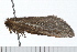  ( - 08-TASE-0419)  @13 [ ] CreativeCommons - Attribution (2009) Unspecified Centre for Biodiversity Genomics