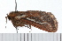  ( - 08-TASE-0420)  @13 [ ] CreativeCommons - Attribution (2009) Unspecified Centre for Biodiversity Genomics