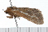  ( - 08-TASE-0422)  @12 [ ] CreativeCommons - Attribution (2009) Unspecified Centre for Biodiversity Genomics