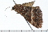  ( - 08-TASE-0423)  @13 [ ] CreativeCommons - Attribution (2009) Unspecified Centre for Biodiversity Genomics