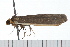  ( - 08-TASE-0438)  @12 [ ] CreativeCommons - Attribution (2009) Unspecified Centre for Biodiversity Genomics