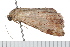  ( - 08-TASE-0444)  @13 [ ] CreativeCommons - Attribution (2009) Unspecified Centre for Biodiversity Genomics