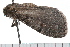  ( - 08-TASE-0452)  @12 [ ] CreativeCommons - Attribution (2009) Unspecified Centre for Biodiversity Genomics