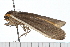  ( - 08-TASE-0505)  @12 [ ] CreativeCommons - Attribution (2009) Unspecified Centre for Biodiversity Genomics