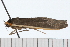  ( - 08-TASE-0519)  @12 [ ] CreativeCommons - Attribution (2009) Unspecified Centre for Biodiversity Genomics