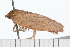  ( - 08-TASE-0533)  @13 [ ] CreativeCommons - Attribution (2009) Unspecified Centre for Biodiversity Genomics