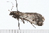  ( - 08-TASE-0534)  @12 [ ] CreativeCommons - Attribution (2009) Unspecified Centre for Biodiversity Genomics
