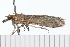  ( - 08-TASE-0546)  @12 [ ] CreativeCommons - Attribution (2009) Unspecified Centre for Biodiversity Genomics