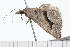  ( - 08-TASE-0547)  @14 [ ] CreativeCommons - Attribution (2009) Unspecified Centre for Biodiversity Genomics