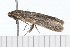  ( - 08-TASE-0553)  @12 [ ] CreativeCommons - Attribution (2009) Unspecified Centre for Biodiversity Genomics