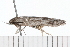  ( - 08-TASE-0562)  @12 [ ] CreativeCommons - Attribution (2009) Unspecified Centre for Biodiversity Genomics