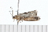  ( - 08-TASE-0577)  @12 [ ] CreativeCommons - Attribution (2009) Unspecified Centre for Biodiversity Genomics