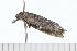  ( - 08-TASE-0590)  @13 [ ] CreativeCommons - Attribution (2009) Unspecified Centre for Biodiversity Genomics
