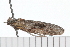 ( - 08-TASE-0605)  @12 [ ] CreativeCommons - Attribution (2009) Unspecified Centre for Biodiversity Genomics