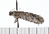  ( - 08-TASE-0624)  @13 [ ] CreativeCommons - Attribution (2009) Unspecified Centre for Biodiversity Genomics