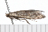  ( - 08-TASE-0625)  @13 [ ] CreativeCommons - Attribution (2009) Unspecified Centre for Biodiversity Genomics