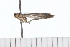  ( - 08-TASE-0627)  @12 [ ] CreativeCommons - Attribution (2009) Unspecified Centre for Biodiversity Genomics