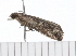  ( - 08-TASE-0645)  @12 [ ] CreativeCommons - Attribution (2009) Unspecified Centre for Biodiversity Genomics