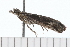  ( - 08-TASE-0664)  @12 [ ] CreativeCommons - Attribution (2009) Unspecified Centre for Biodiversity Genomics