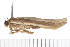  ( - 08-TASE-0696)  @12 [ ] CreativeCommons - Attribution (2009) Unspecified Centre for Biodiversity Genomics