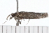  ( - 08-TASE-0801)  @12 [ ] CreativeCommons - Attribution (2009) Unspecified Centre for Biodiversity Genomics