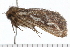  ( - 08-TASE-0805)  @12 [ ] CreativeCommons - Attribution (2009) Unspecified Centre for Biodiversity Genomics