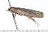  ( - 08-TASE-0856)  @12 [ ] CreativeCommons - Attribution (2009) Unspecified Centre for Biodiversity Genomics