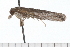  ( - 08-TASE-0864)  @12 [ ] CreativeCommons - Attribution (2009) Unspecified Centre for Biodiversity Genomics
