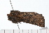  ( - 08-TASE-0319)  @12 [ ] CreativeCommons - Attribution (2009) Unspecified Centre for Biodiversity Genomics