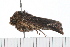  ( - 08-TASE-0340)  @13 [ ] CreativeCommons - Attribution (2009) Unspecified Centre for Biodiversity Genomics