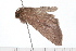 ( - 08-TASE-0372)  @12 [ ] CreativeCommons - Attribution (2009) Unspecified Centre for Biodiversity Genomics