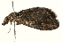  ( - 09TASF-0101)  @14 [ ] CreativeCommons - Attribution (2010) Unspecified Centre for Biodiversity Genomics