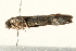  ( - 09TASF-0102)  @12 [ ] CreativeCommons - Attribution (2010) Unspecified Centre for Biodiversity Genomics