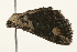  ( - 09TASF-0108)  @13 [ ] CreativeCommons - Attribution (2010) Unspecified Centre for Biodiversity Genomics