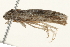  ( - 09TASF-0120)  @12 [ ] CreativeCommons - Attribution (2010) Unspecified Centre for Biodiversity Genomics