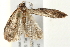  ( - 09TASF-0149)  @13 [ ] CreativeCommons - Attribution (2010) Unspecified Centre for Biodiversity Genomics