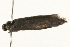  ( - 09TASF-0012)  @12 [ ] CreativeCommons - Attribution (2010) Unspecified Centre for Biodiversity Genomics