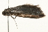  ( - 09TASF-0029)  @12 [ ] CreativeCommons - Attribution (2010) Unspecified Centre for Biodiversity Genomics