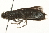  ( - 09TASF-0043)  @13 [ ] CreativeCommons - Attribution (2010) Unspecified Centre for Biodiversity Genomics