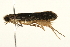  ( - 09TASF-0051)  @13 [ ] CreativeCommons - Attribution (2010) Unspecified Centre for Biodiversity Genomics