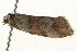 ( - 09TASF-0074)  @13 [ ] CreativeCommons - Attribution (2010) Unspecified Centre for Biodiversity Genomics