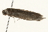  ( - 09TASF-0088)  @12 [ ] CreativeCommons - Attribution (2010) Unspecified Centre for Biodiversity Genomics